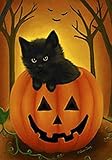 Halloween Kitten Black Cat Garden Flag Fall