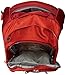 Newtion Osprey Porter Travel Backpack Bag, Hoodoo Red, 46-Liter