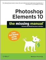 Designing Day of the Dead Shrines (Ofrendas)