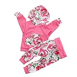 Baby Girls Long Sleeve Floral Hoodie + Pant 2 PCS Outfits Clothing Set