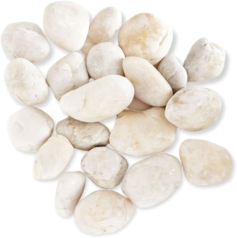 Hardscaping Materials - PGN White River Rocks for Plants - 5 Pounds - White Rocks with Smooth, Polished Surfaces - 1-3 Inch Stones for Planters, Aquarium Decorations, Vase, Fireplace, Landscaping, Outdoor Decor