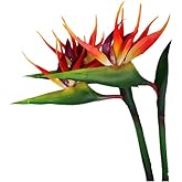 DODXIAOBEUL Large Bird of Paradise 32 Inch Permanent Flower,UV Resistant No Fade Flower Part is Made of Soft Rubber PU,Artificial Flower Plants for Home Office 2 Pcs (Orange red)