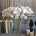 Vivian Artificial Silk Flower Plant for Party Wedding Home Decor Butterfly Orchid (White)