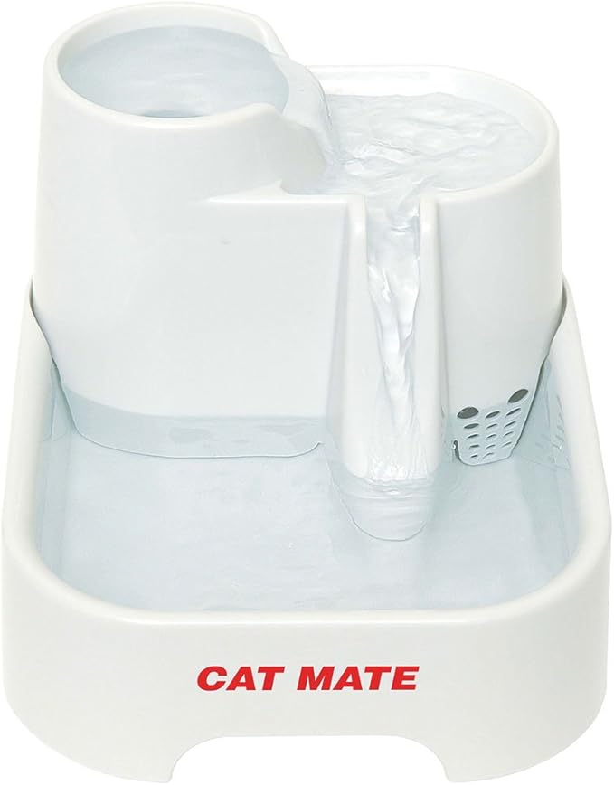cat mate motor