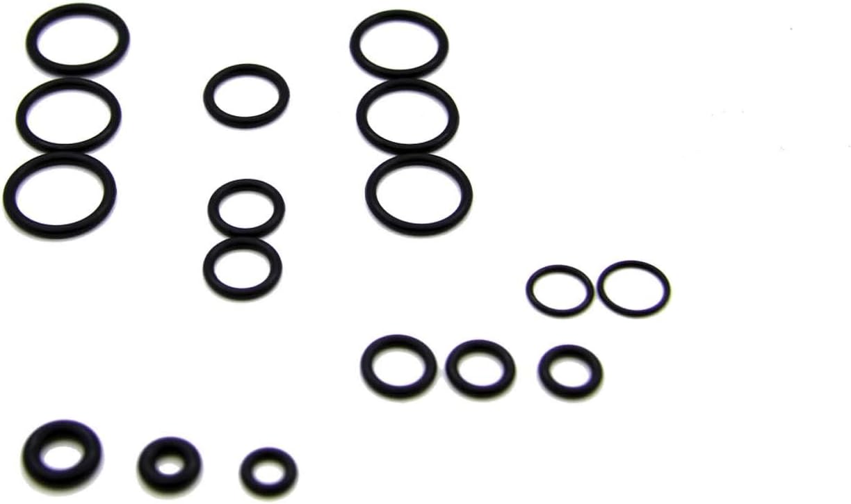 AR North America AR42761 Replace Pressure Washer O-Rings, Black