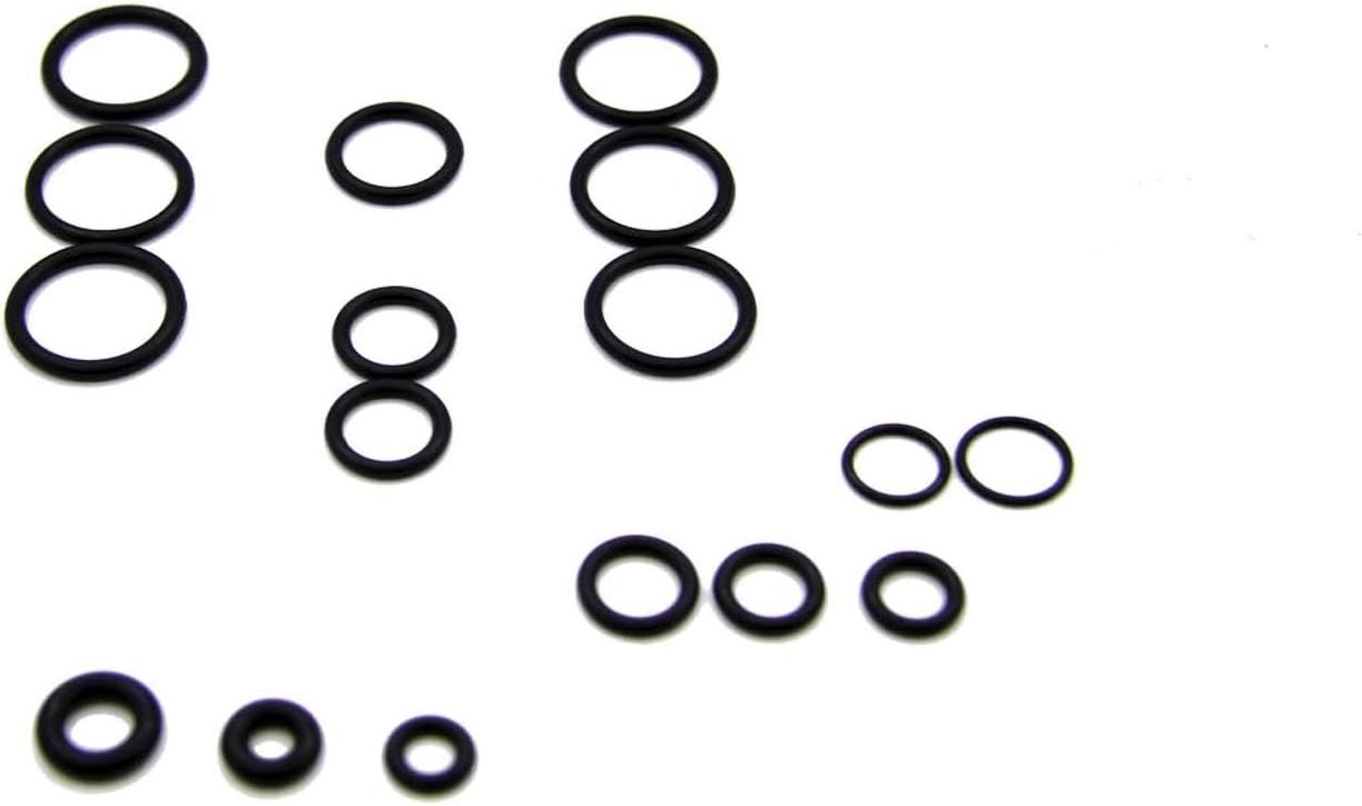 AR North America AR42761 Replace Pressure Washer O-Rings, Black