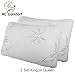 HC Comfort - Bamboo Memory Foam Pillow - Ultra Cool Hypoallergenic Washable Cover - Queen Size Set of 2
