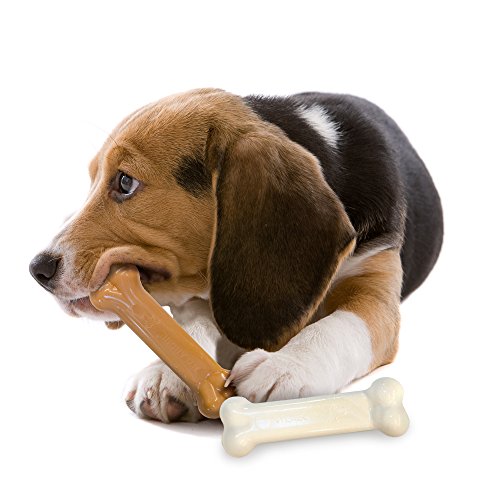 Nylabone Power Chew DuraChew Bone Dog Chew Toy, Twin Pack, Medium