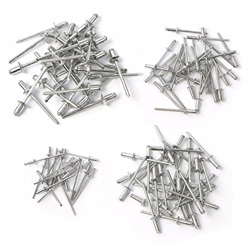 100pc Rivet Assortment Kit Set Hand & Air Pop Riveter Guns 1/8 5/32 3/16 X 5/16