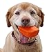 Ruff Dawg Rock – 3.5” Rubber Rock Toy– Durable, Floating, and Bouncy Fetch Toy Dogs – Safe, High-Visibility Colors for Active Outdoor Fun