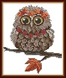 Maydear Full Range of Embroidery Starter Kits Stamped Cross Stitch Kits Beginners for DIY Embroidery (Multiple Pattern Designs) - Owl with a Necklace