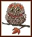 Full Range of Embroidery Starter Kits Stamped Cross Stitch Kits Beginners for DIY Embroidery (Multiple Pattern Designs) - Owl with a Necklace
