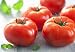 Homegrown Tomato Seeds, 300, Bush Big Boy Tomato