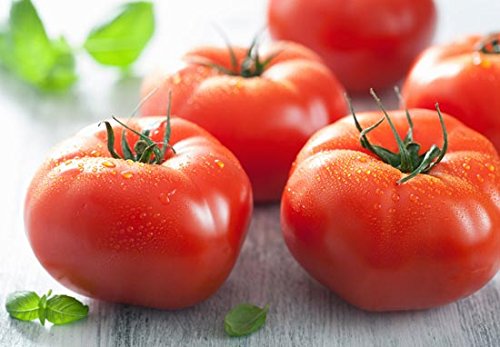 Homegrown Tomato Seeds, 300, Bush Big Boy Tomato