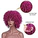 AISI HAIR Afro Curly Wig for Black Women Kinky Curly Hair Wig Glueless Synthetic Afro Wigs for Daily (Purple Color)…
