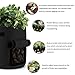 Mixhome 2 Pcs Potato Grow Bag, 7 Gallon Vegetable Planter Bag, Visualized Nylon Button Window and Handles, Gardening Vegetable Planter Container, Garden Vegetable Growing Bags (Black)thumb 4
