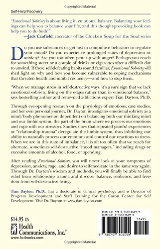 Emotional Sobriety From Relationship Trauma To Resilience - 