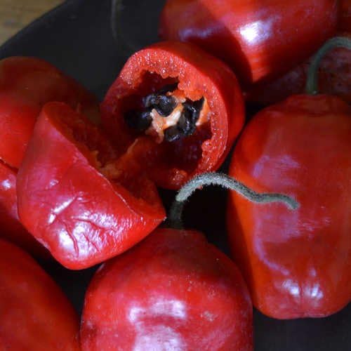 Capsicum pubescens - Red peron rocoto- Spg - Seeds