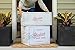 Alaskan King Crab: Colossal Red King Crab Legs (3 LBS) - Overnight Shipping Monday-Thursday