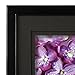 Gallery Solutions 12FW1667 Picture Frame, 8 inches x 10 inches, Black/Black