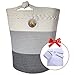 Cotton Rope Basket - 17.8