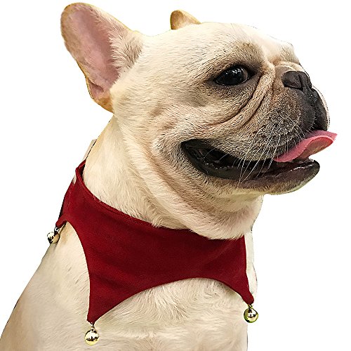 Dog christmas neckerchief Clearance