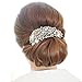 EVER FAITH Women's Austrian Crystal 5 Inch Bridal Flower Bouquet Hair Side Comb Clear