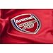 2016-17 Alexis Sanchez Football Soccer Jersey & Shorts Youth Sizes (Youth- XL)