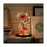 Autoday Beauty and The Beast Preserved Fresh Rose Flower Light Fallen Petals in a Glass Romantic Wooden Base Valentine's Day Birthday Anniversary (5.75.79