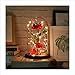 Autoday USB Beauty and The Beast Preserved Fresh Rose Flower Light Fallen Petals in a Glass Romantic Wooden Base Valentine's Day Birthday Anniversary (5.75.79