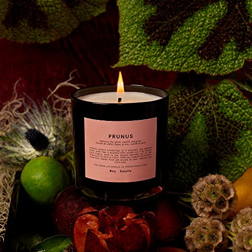 Prunus Boy Smells Candle 50 Hour Long Burning Candles All Natural