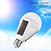 Portable Solar Powered LED Light Bulb Rechargeable Emergency lamp, E27 720LM 12W for Indoor, Outdoor, Camping, Storm, Flood, Hurricane,White/1Pack