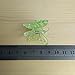KINGLAKE 40 Pcs Orchid Clips Butterfly Orchid Support Clips,Garden Plant Support Clips Cute Flower Clips