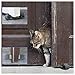 Door Stopper - Revolutionary New Design Stops Movement Forward and Backward - Holds Doors Securely in Place - Ideal for Pet And Child Safety Interior and Exterior Doors - 2 Door Stops Per Pack - Grey