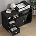 Tribesigns Wood File Cabinet, 2 Drawer Storage Printer Stand, Mobile Lateral Filing Cabinet with Locks and Wheels, Open Storage Shelves for Study, Home Office (Black)
