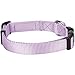 Blueberry Pet Essentials Medium Dog Collar in Lavender | Adjustable & Eco-Friendly Durable Nylon Strap | Classic Collar for Medium Dogs, Boy & Girl Pets