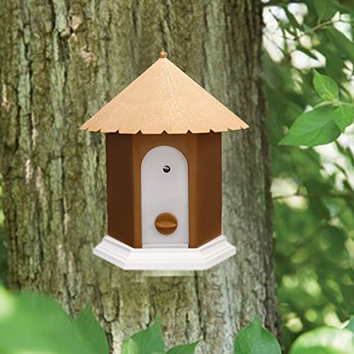 csb10 outdoor bark control