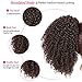 Vigorous Afro Ponytail Kinky Curly Drawstring Ponytail Synthetic Clip in Hair Extensions for African Americans Natural Hair Curly Ponytail for Women(4#)