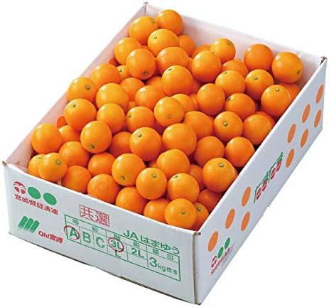 Amazon きんかん たまたま 完熟きんかん 秀品 3l L 3kg 宮崎県産 キンカン 金柑 ノーブランド品 みかん 柑橘類 通販