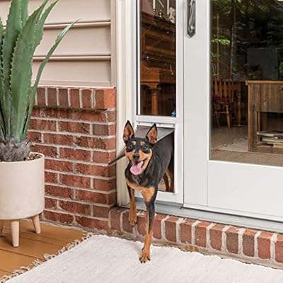 installing dog door in glass door