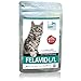 L Lysine for Cats - Tasty Chews for Immune System Support 3.74oz