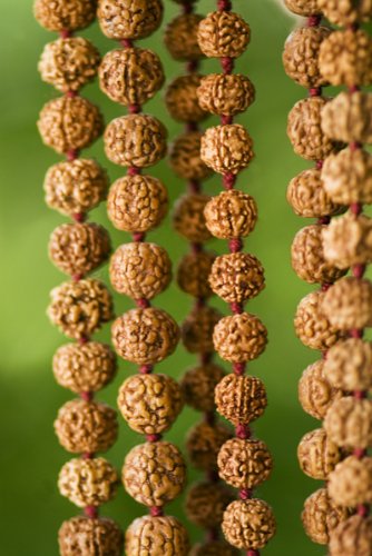 Rudraksha Seed Mala - 108 Beads 8mm