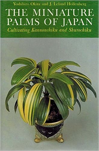 The Miniature Palms Of Japan Cultivating Kannonchiku And Shurochiku Okita Yoshihiro 9780834801608 Amazon Com Books
