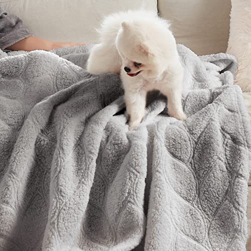 Cozy Bliss Sherpa Throw Blanket 60
