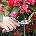 Professional Stainless Steel hand pruner, Pruning scissors, Best Plant Cutter, Garden Pruners, Efficient Hedge Trimmer, Garden Shears, Flower Cutter, bypass pruner, SK-5 Steel Blade Clippers.