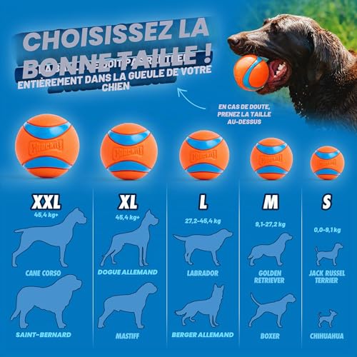 Chuckit! Ultra Balls Medium - Pack of 2 Suitable for all breeds of dog