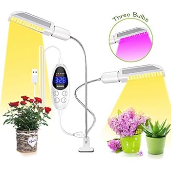 Amazon.com : ACKE-Glow-Light-Plants-Light for Indoor ...