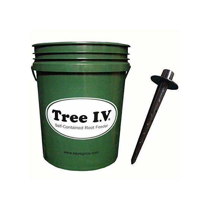 Buy Tree I-V Root Watering System for New Trees & Plants | Easy Fill ...