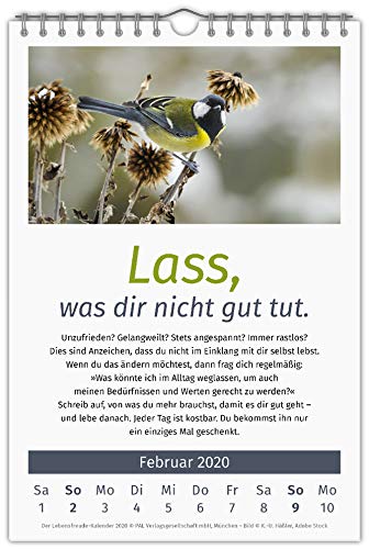 Get Lebensfreude kalender sprueche For iPhone Lebensfreude Kalender Sprueche