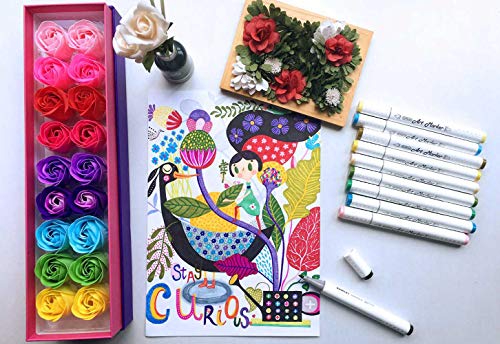 5 Shuttle+Art+Permanent+Highlighters+Illustration